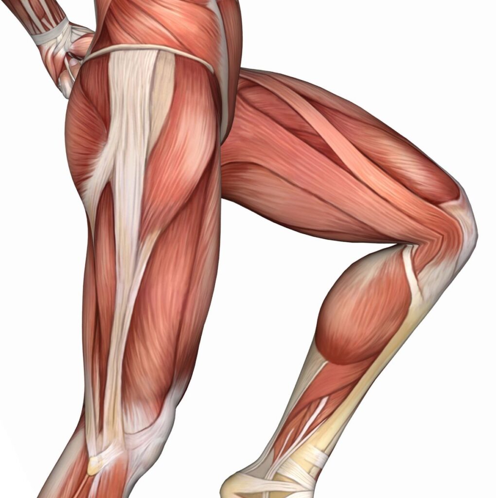 Iliotibial Band Syndrome - Los Angeles, CA - Dr. Jason Snibbe